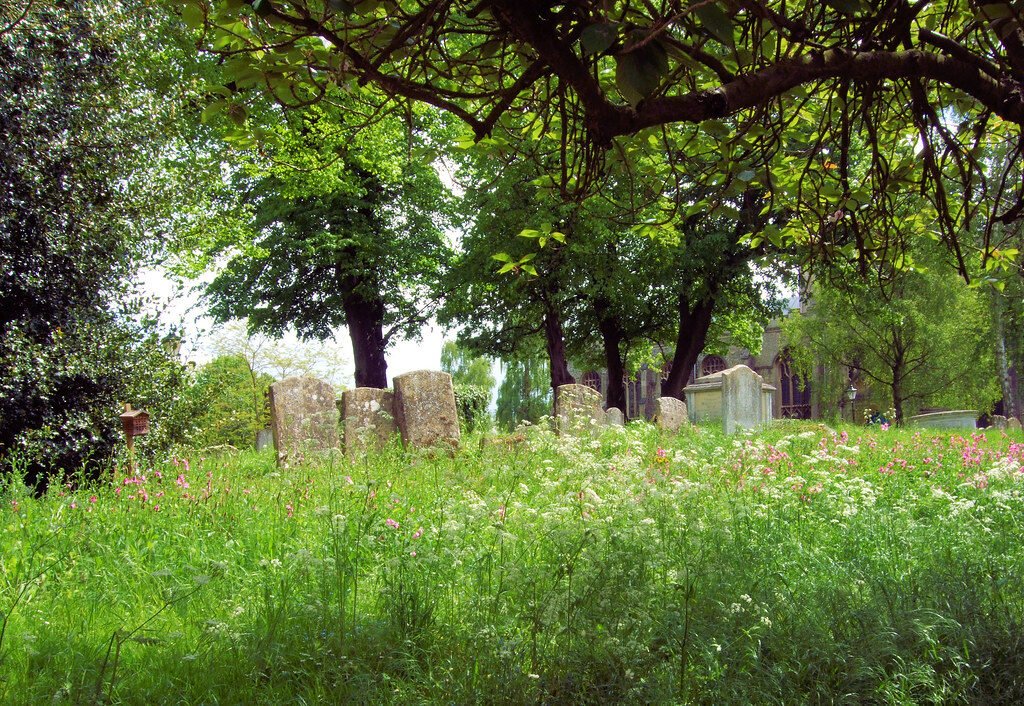 Life ground down, reborn